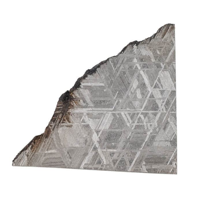 Muonionalusta Meteorite Slice 20.61 g 38x35mm - InnerVision Crystals