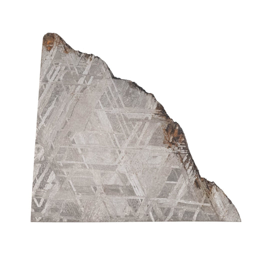 Muonionalusta Meteorite Slice 20.61 g 38x35mm - InnerVision Crystals