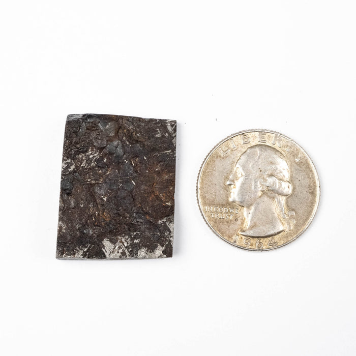 Muonionalusta Meteorite Slice 26.06 g 28x22mm - InnerVision Crystals