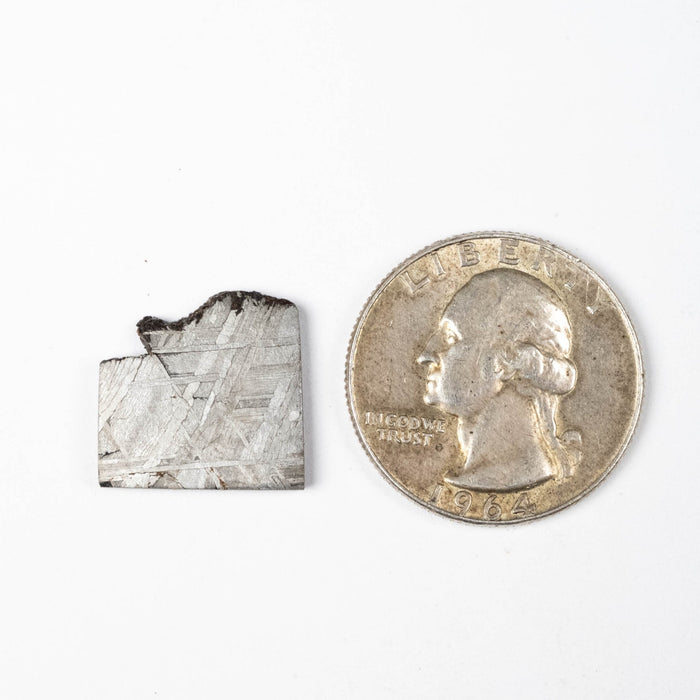 Muonionalusta Meteorite Slice 3.66 g 16x16mm - InnerVision Crystals