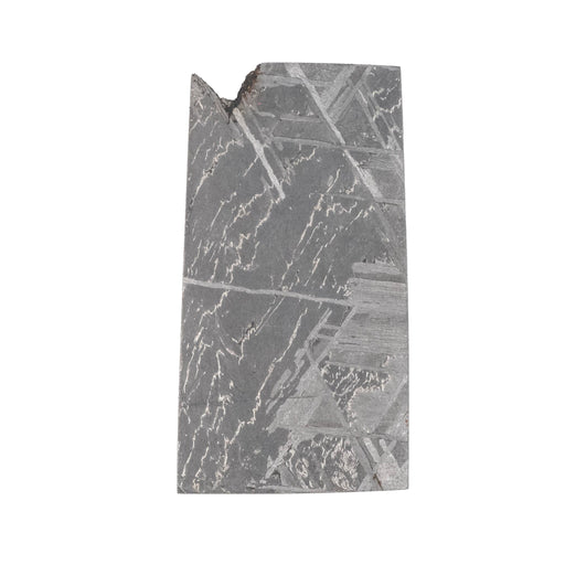 Muonionalusta Meteorite Slice 3.73 g 29x15mm - InnerVision Crystals