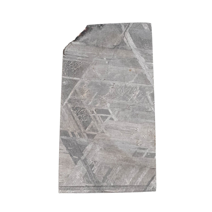 Muonionalusta Meteorite Slice 4.57 g 28x16mm - InnerVision Crystals