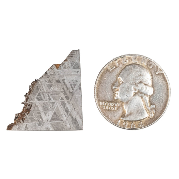 Muonionalusta Meteorite Slice 4.59 g 25x23mm - InnerVision Crystals