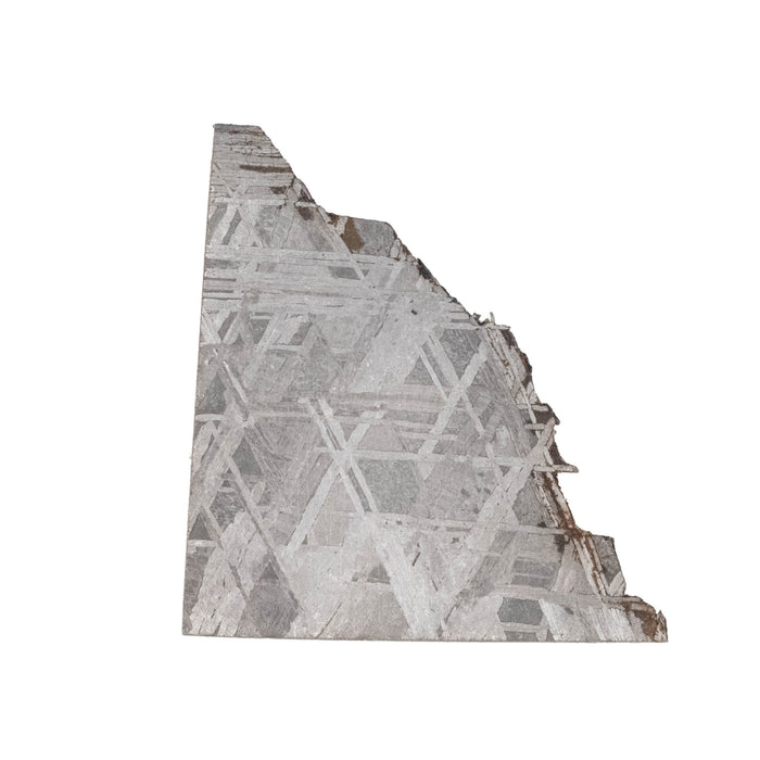 Muonionalusta Meteorite Slice 4.59 g 25x23mm - InnerVision Crystals