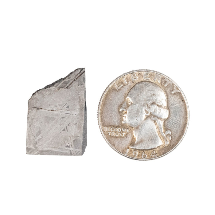 Muonionalusta Meteorite Slice 4.81 g 23x15mm - InnerVision Crystals
