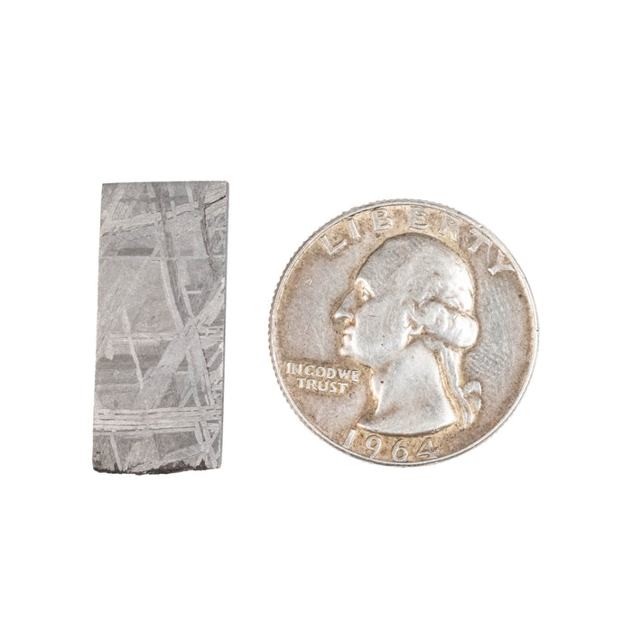 Muonionalusta Meteorite Slice 4.89 g 26x11mm - InnerVision Crystals