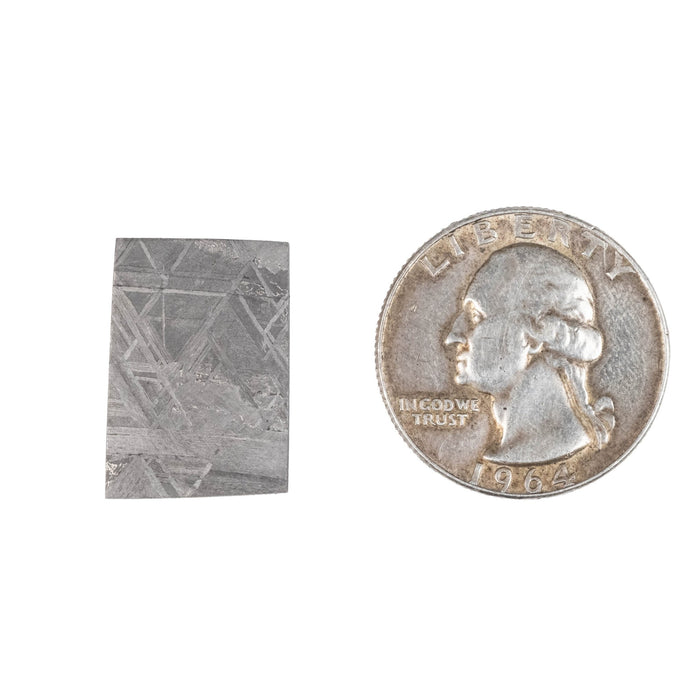 Muonionalusta Meteorite Slice 4.91 g 21x14mm - InnerVision Crystals