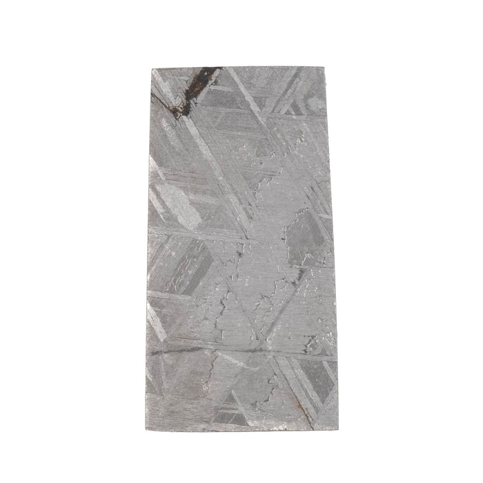 Muonionalusta Meteorite Slice 5.40 g 29x15mm - InnerVision Crystals