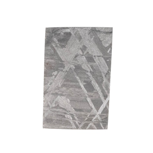 Muonionalusta Meteorite Slice 5.53 g 24x15mm - InnerVision Crystals