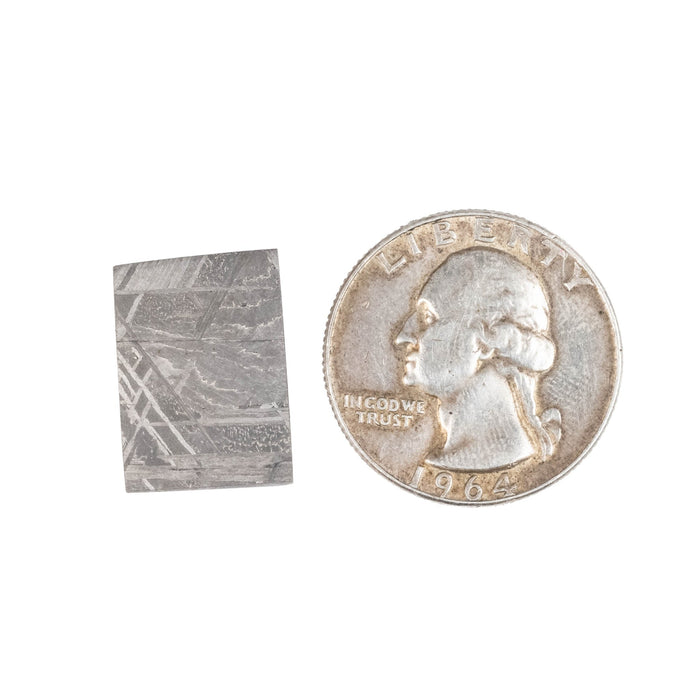 Muonionalusta Meteorite Slice 5.55 g 18x13mm - InnerVision Crystals