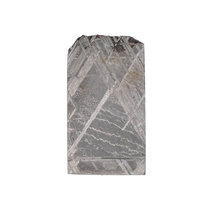 Muonionalusta Meteorite Slice 5.66 g 24x13mm - InnerVision Crystals