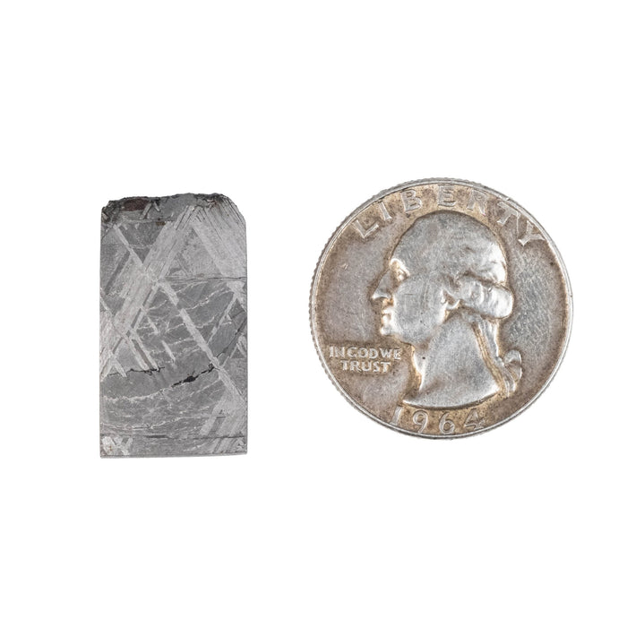 Muonionalusta Meteorite Slice 5.66 g 24x13mm - InnerVision Crystals