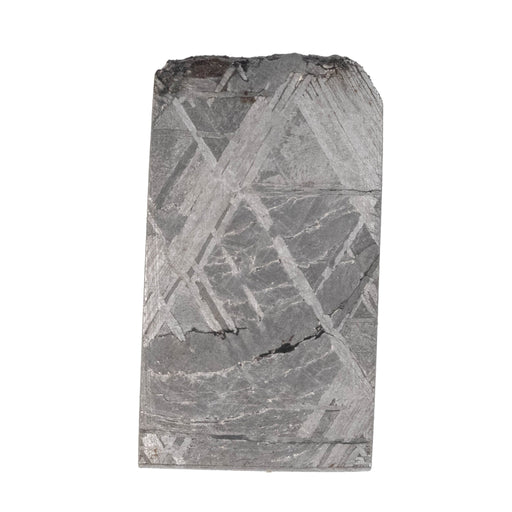 Muonionalusta Meteorite Slice 5.66 g 24x13mm - InnerVision Crystals