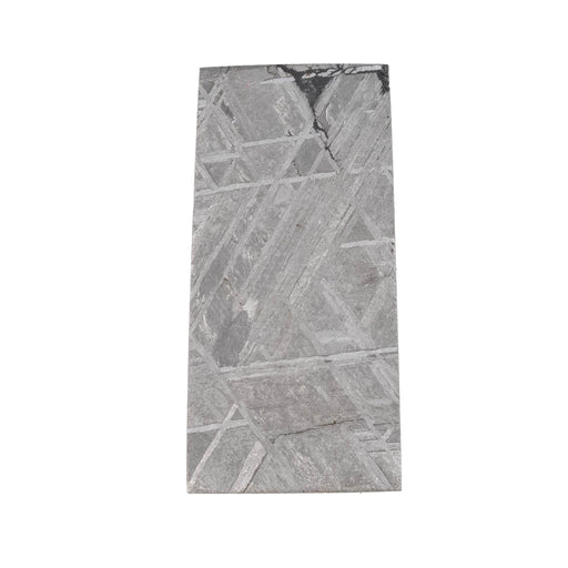 Muonionalusta Meteorite Slice 5.77 g 29x14mm - InnerVision Crystals