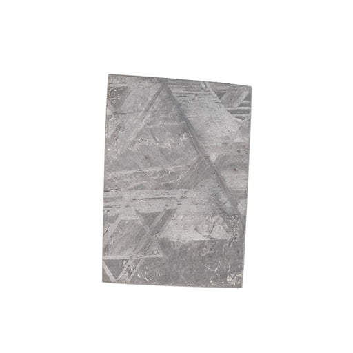 Muonionalusta Meteorite Slice 5.95 g 21x14mm - InnerVision Crystals