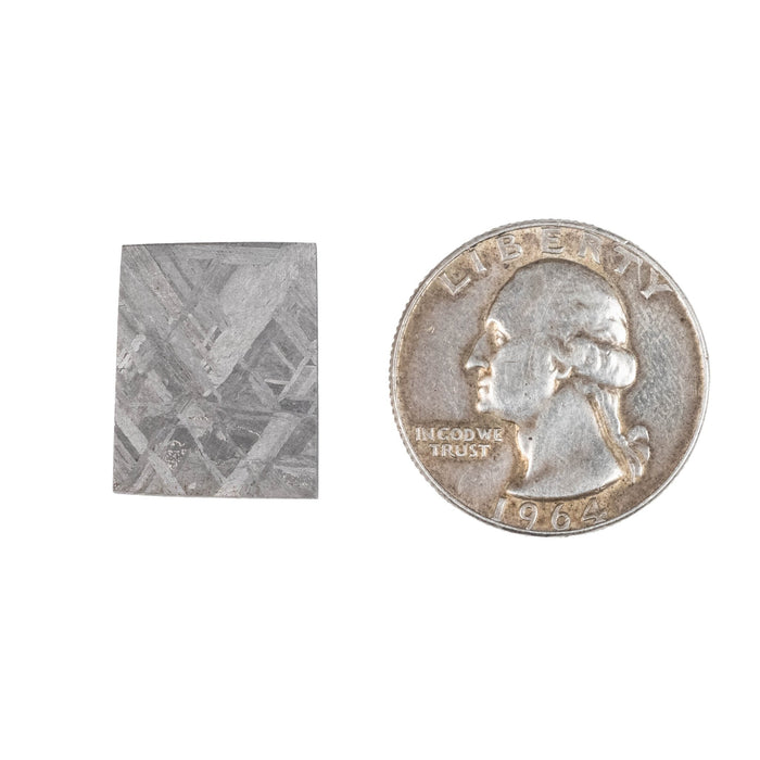 Muonionalusta Meteorite Slice 6.53 g 19x15mm - InnerVision Crystals