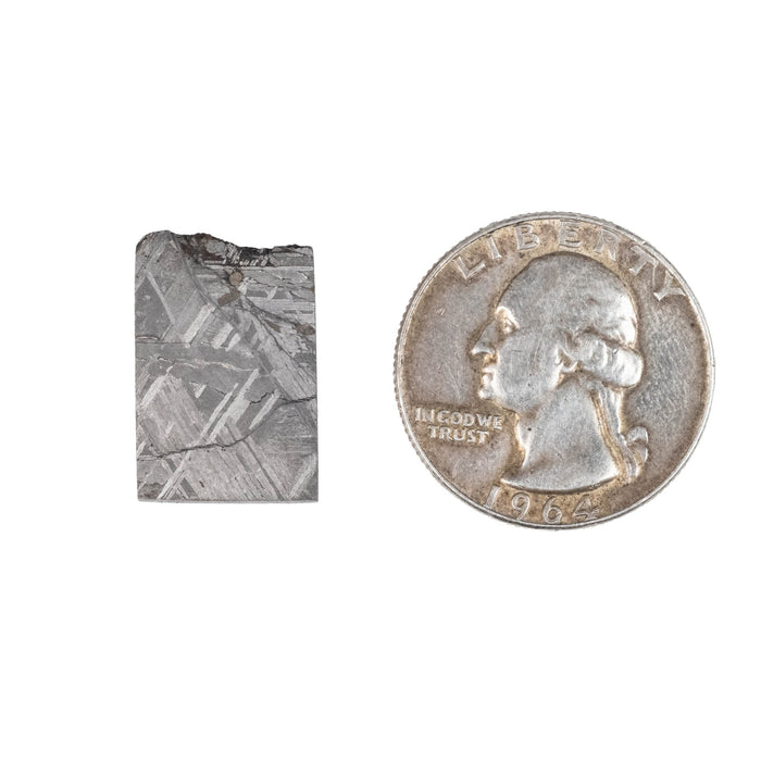 Muonionalusta Meteorite Slice 6.70 g 20x13mm - InnerVision Crystals