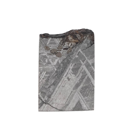 Muonionalusta Meteorite Slice 6.70 g 20x13mm - InnerVision Crystals