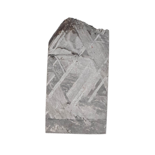 Muonionalusta Meteorite Slice 6.85 g 25x13mm - InnerVision Crystals