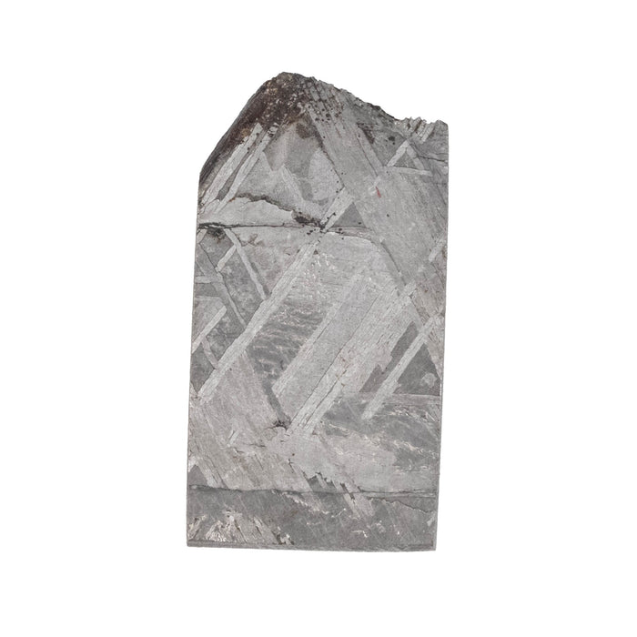 Muonionalusta Meteorite Slice 6.85 g 25x13mm - InnerVision Crystals