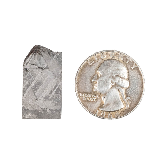 Muonionalusta Meteorite Slice 6.85 g 25x13mm - InnerVision Crystals