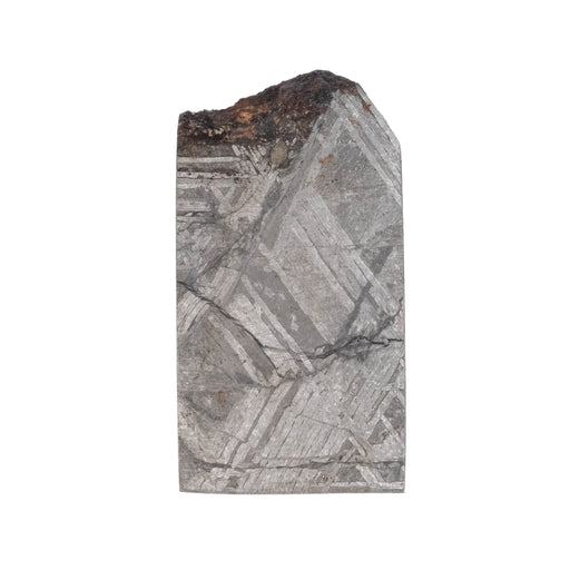 Muonionalusta Meteorite Slice 6.85 g 25x13mm - InnerVision Crystals