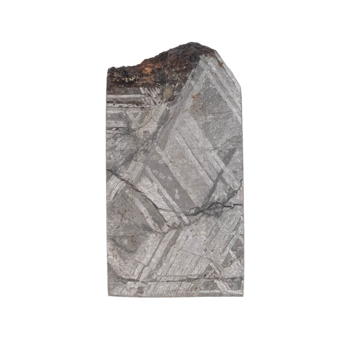 Muonionalusta Meteorite Slice 6.85 g 25x13mm - InnerVision Crystals