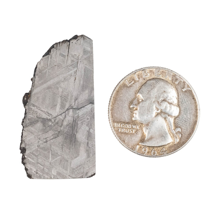 Muonionalusta Meteorite Slice 7.37 g 38x19mm - InnerVision Crystals
