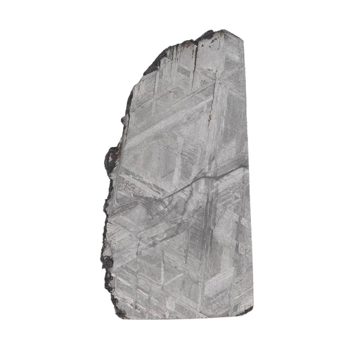 Muonionalusta Meteorite Slice 7.37 g 38x19mm - InnerVision Crystals