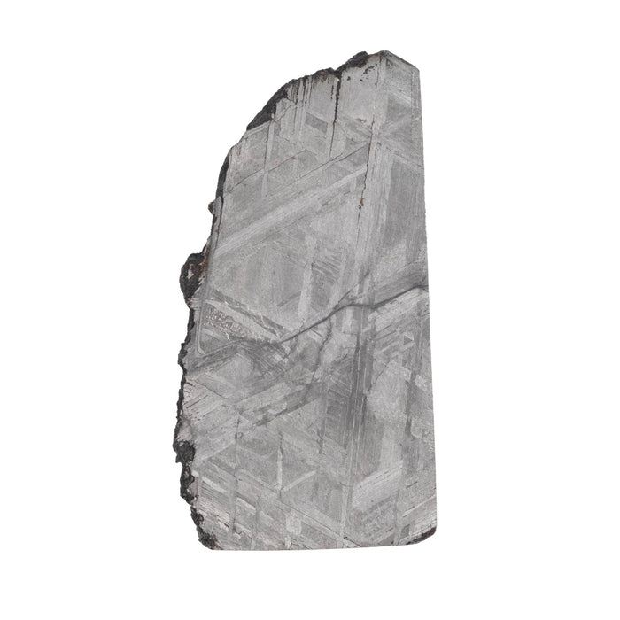 Muonionalusta Meteorite Slice 7.37 g 38x19mm - InnerVision Crystals