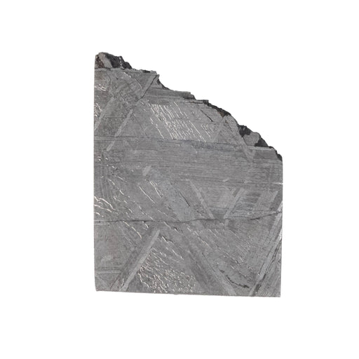 Muonionalusta Meteorite Slice 7.39 g 21x16mm - InnerVision Crystals