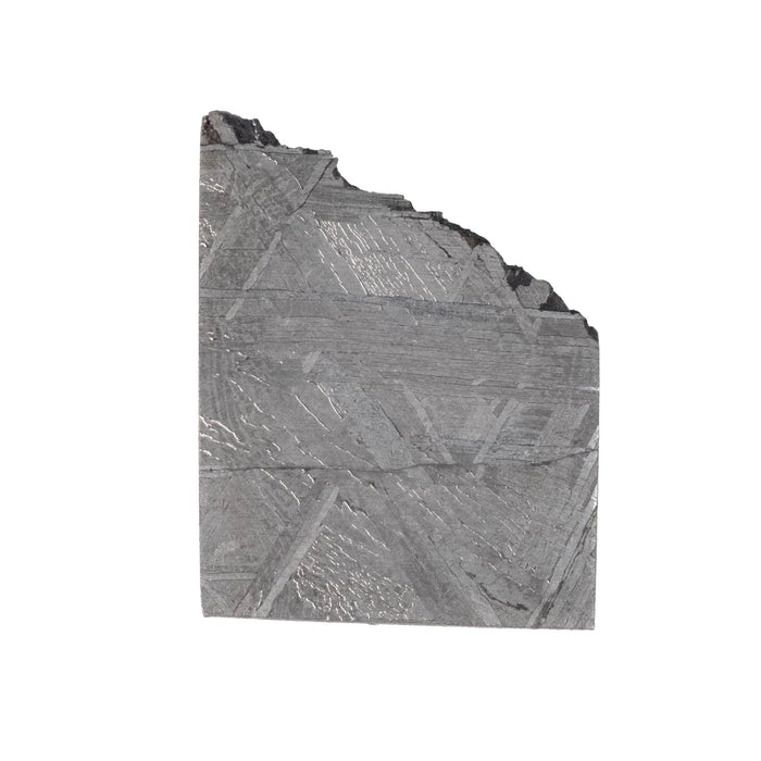 Muonionalusta Meteorite Slice 7.39 g 21x16mm - InnerVision Crystals