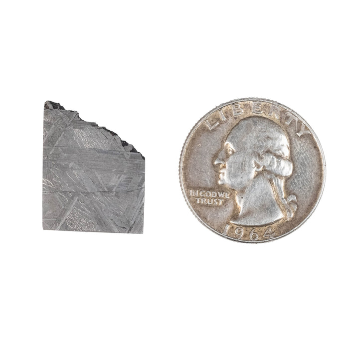 Muonionalusta Meteorite Slice 7.39 g 21x16mm - InnerVision Crystals