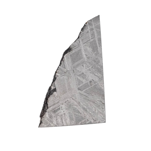 Muonionalusta Meteorite Slice 7.40 g 29x18mm - InnerVision Crystals