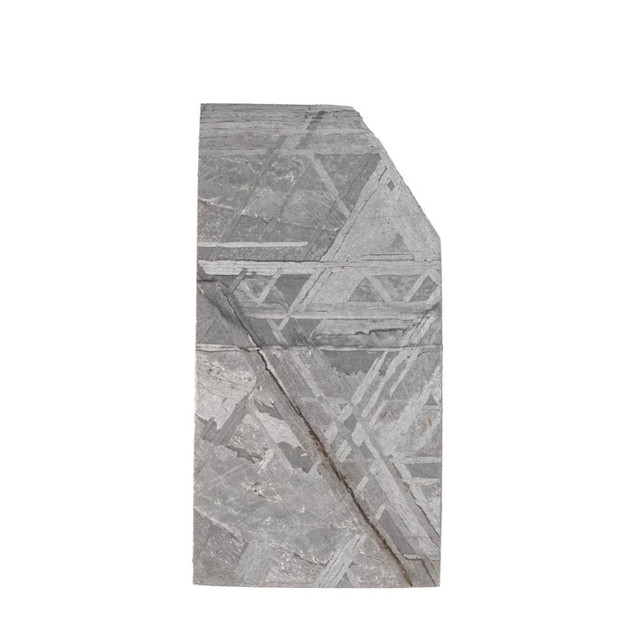 Muonionalusta Meteorite Slice 7.97 g 27x13mm - InnerVision Crystals