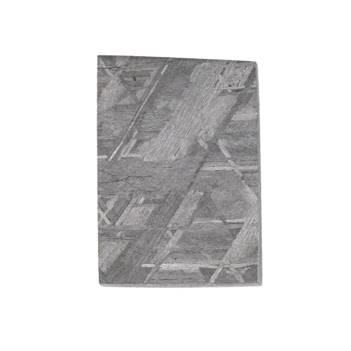 Muonionalusta Meteorite Slice 8.18 g 19x13mm - InnerVision Crystals