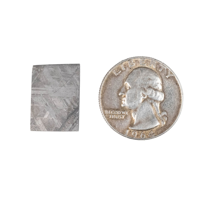 Muonionalusta Meteorite Slice 8.18 g 19x13mm - InnerVision Crystals