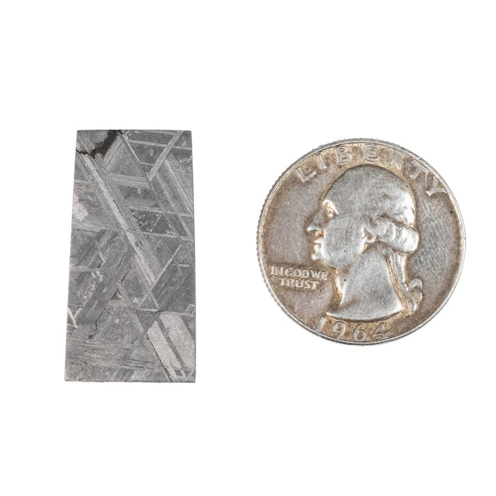 Muonionalusta Meteorite Slice 8.51 g 29x14mm - InnerVision Crystals