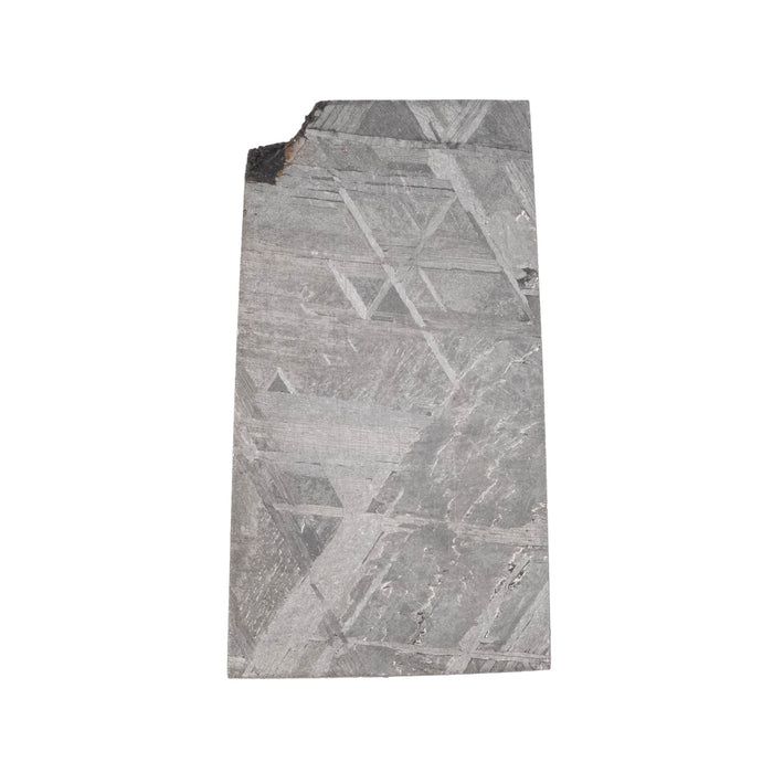 Muonionalusta Meteorite Slice 9.10 g 29x16mm - InnerVision Crystals