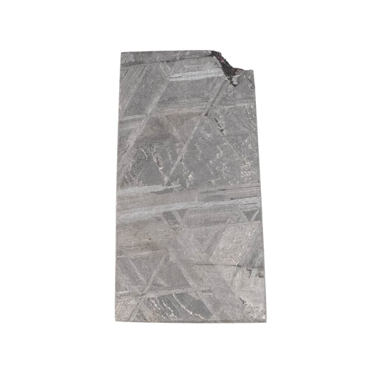 Muonionalusta Meteorite Slice 9.10 g 29x16mm - InnerVision Crystals