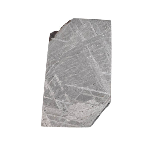 Muonionalusta Meteorite Slice 9.36 g 29x18mm - InnerVision Crystals