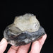 Phenakite 347.42 g 82x75mm - InnerVision Crystals