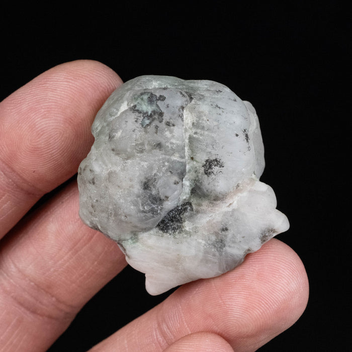 Phenakite 40.35 g 36x35mm w/ Emerald - InnerVision Crystals