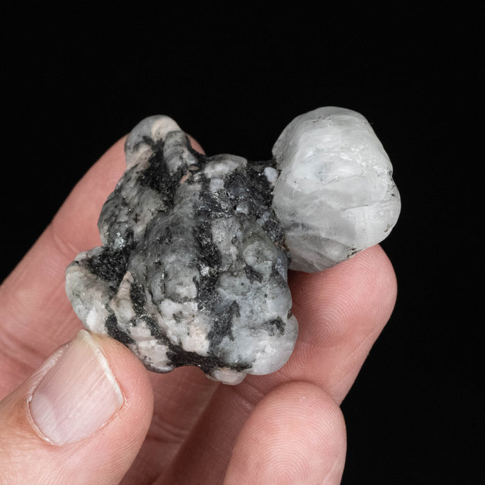 Phenakite 48.31 g 48x47mm - InnerVision Crystals