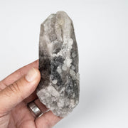 Phenakite on Smoky Quartz - Mt Antero, CO 335 g 127x55mm DT Self Healed - InnerVision Crystals