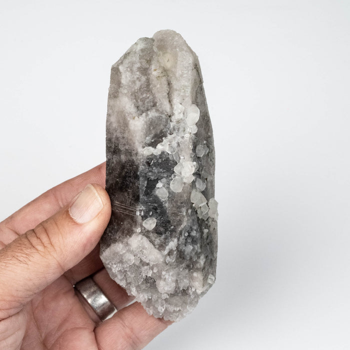 Phenakite on Smoky Quartz - Mt Antero, CO 335 g 127x55mm DT Self Healed - InnerVision Crystals