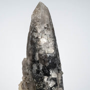 Phenakite on Smoky Quartz - Mt Antero, CO 477 g 163x53mm DT - InnerVision Crystals