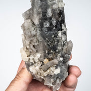 Phenakite on Smoky Quartz - Mt Antero, CO 477 g 163x53mm DT - InnerVision Crystals