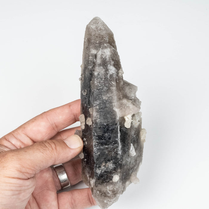 Phenakite on Smoky Quartz - Mt Antero, CO 477 g 163x53mm DT - InnerVision Crystals