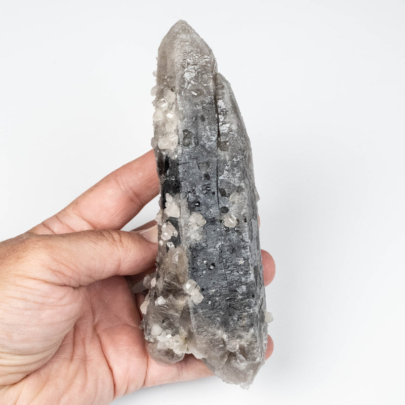 Phenakite on Smoky Quartz - Mt Antero, CO 477 g 163x53mm DT - InnerVision Crystals